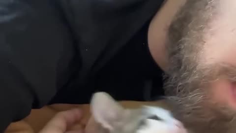 Why My Kittens Love My Husband ❤️