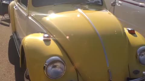 1965 Volkswagen Beetle