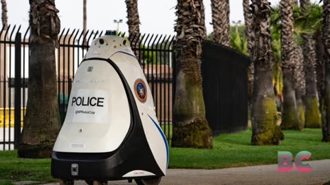 Security robots are starting to join the ranks of human guards