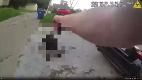 Bodycam footage of cop who shot a dog in Davenport, Iowa for no reason