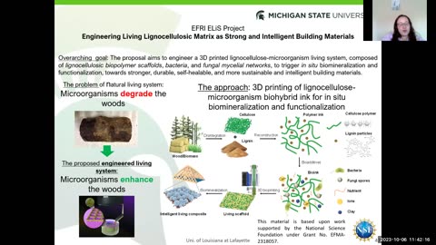 Dr. Bige Deniz Unluturk - Molecular Communication Platforms at Multiple Scales Oct. 9, 2023