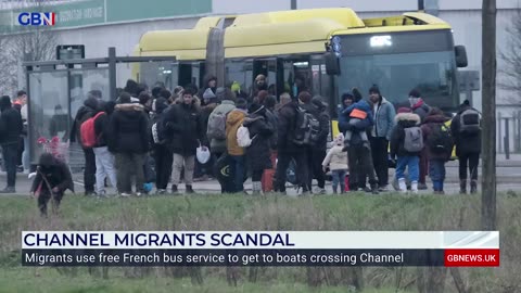 Daily Mail, Sue Reid, reacts to migrants using a free French bus service