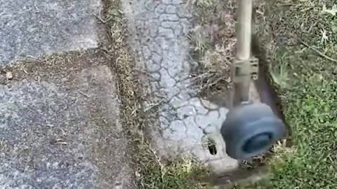 Satisfying Videos of Workers Doing Their Job Perfectly ▶12