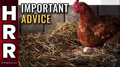 Important advice for those getting chickens for the first time HRR 6Feb2023