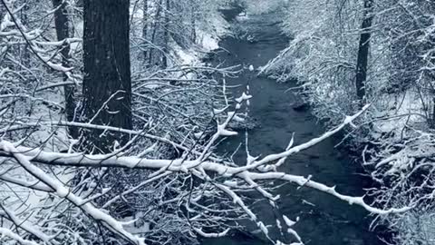 Frozen bliss ❄️🖤💦 #winterwonderland