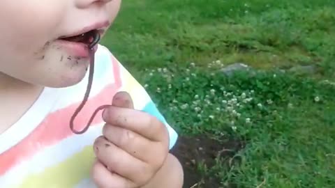 Little Boy Eats a Worm