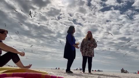 Feeding birds in the beach is fun and so relaxing..