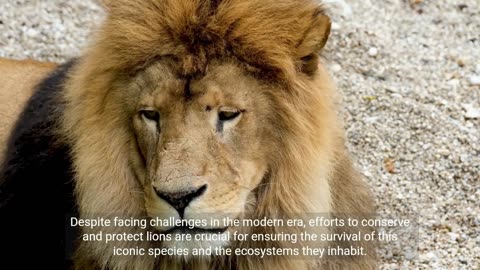 Survival of the Fiercest: Inside the World of Wild Lions