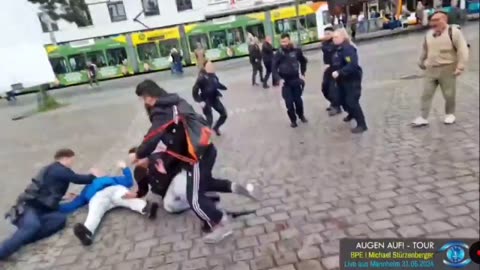 Muslim Stabs Humans in Mannheim, Germany