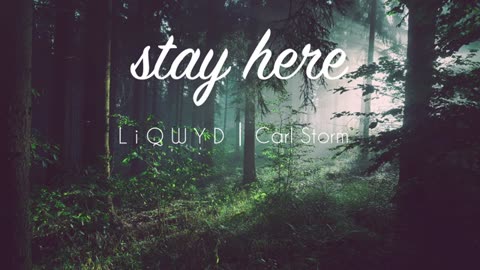 LiQWYD & Carl Storm - Stay Here [Official]