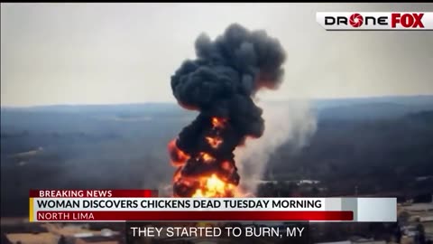 Ohio Chernobyl Incident: Woman Finds Her Chickens Dead 10 Miles From East Palestine