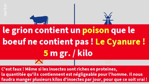 De l'Arsenic et du Cyanure dans les Insectes pour la nourriture 2023 January 31st, 2023