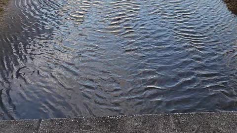 water in drainage ditch receding after stormy weather