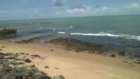 Filming the beach from above, there is a dog playing in the sand [Nature & Animals]