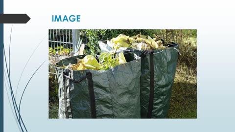 Best Waste Removal in Greenacre