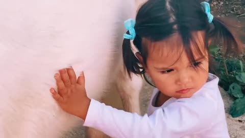 The cutest little toddler horse rider and her pony