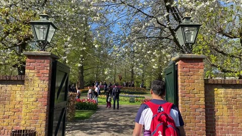 A visit to #keukenhof Tulip Gardens in Netherlands | Netherlands Series Ep 02 | Jayesh & Shreya