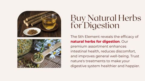 Buy Natural Herbs for Digestion