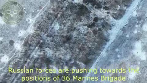 The failed Russian offensive near Avdeevka by the 36th Marine Brigade