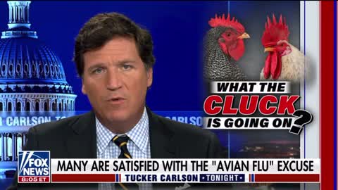 💥Tucker Carlson 💥Chickens,eggs, and Wales…