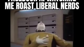 Politics - 2024 Humor Roasting Retarded Brain Dead Liberals On Commiebook