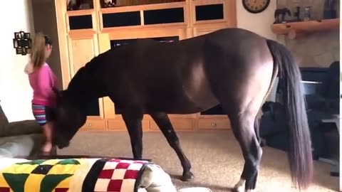 Horse Walks Inside House to Chill With Owner