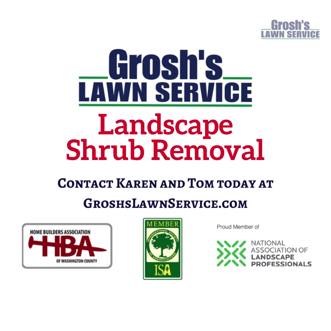 Shrub Removal Mercersburg Pennsylvania Landscape Contractor