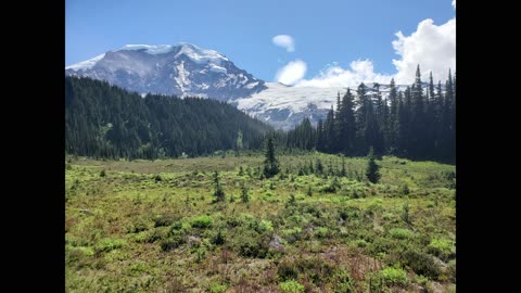 Relaxing, beautiful Western Washington pictures.