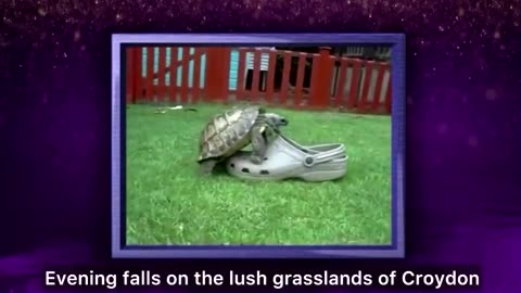 Sir David Attenborough narrating over a tortoise trying to mate with a Croc is absolutely iconic