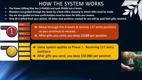 Understanding the Phases and Levels + Gift amnounts