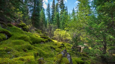 Hiking along the ancient Xiata Trail (The Silk Road)