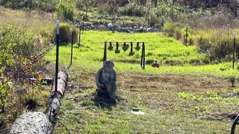 Shooting a Creepy Statue with the .308