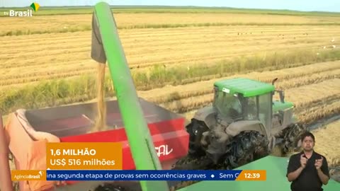 Exportação de arroz deve chegar a dois milhões de toneladas em 2022.