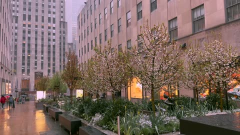 Heavy Rain & Thunderstorms in New York City 4k - NYC Rain Walk - Binaural Rain Sounds - ASMR