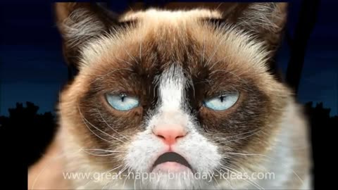 GRUMPY CAT HAPPY BIRTHDAY SONG (TOO FUNNY)