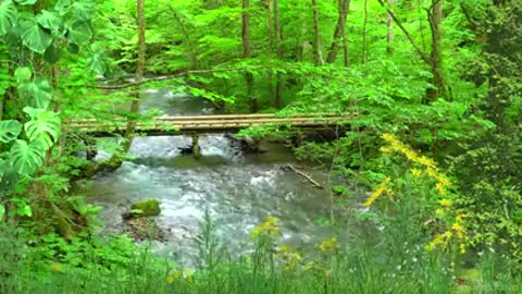 Music to Meditate and Relax with Sounds of Creek and Nature - Calm the Thoughts