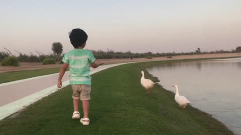 Love Lake Dubai