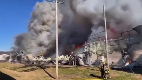 CONNECTICUT: one of the largest chicken egg suppliers "caught" fire -estimated 100,000 hens dead.