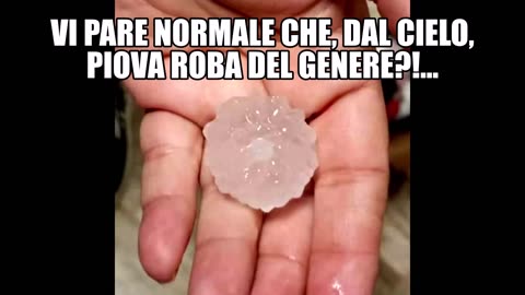 (Roma, 2 Maggio 2024 - ORE 21.40): “VI PARE NORMALE CHE, DAL CIELO, PIOVA ROBA DEL GENERE?!...”👿👿👿 -Io credo che, questa, sia solo una ulteriore anteprima, cui faranno presto seguito puntate ben peggiori...- SIATE PRONTI!!😇💖🙏