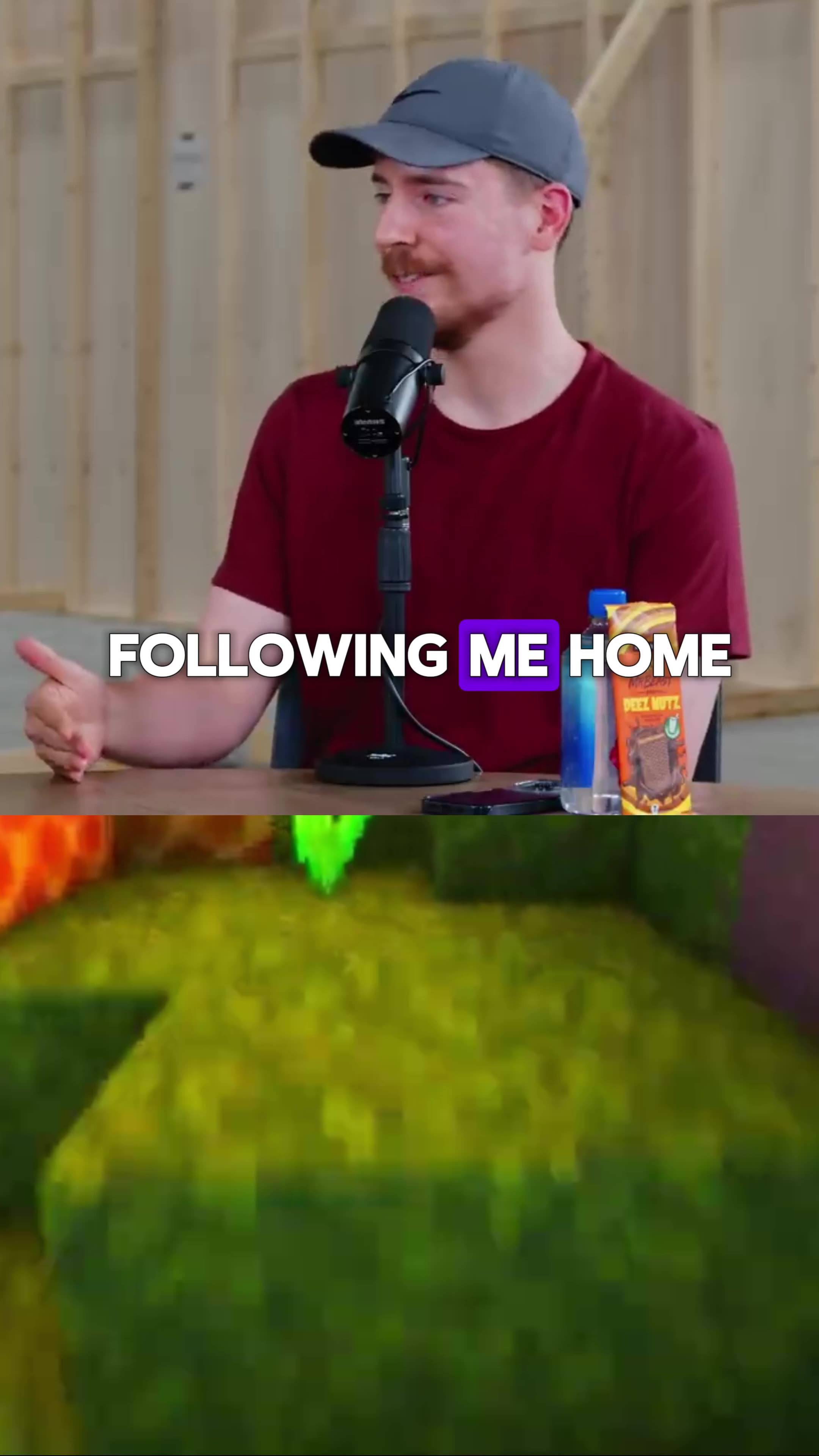 Mrbeast Fame Problems