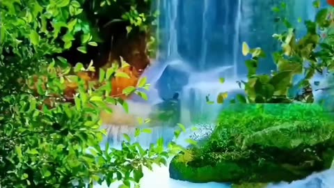 A most beautiful natural videography.. 🪷🪷 🪷......#nature