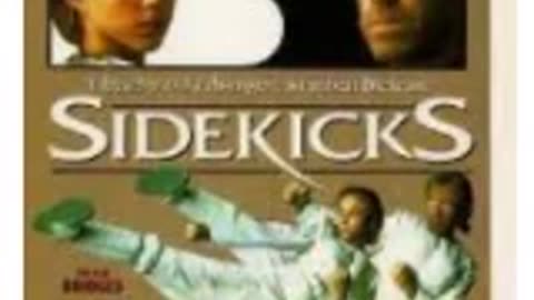 FILME SIDEKICKS