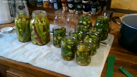 canning japs and okra3