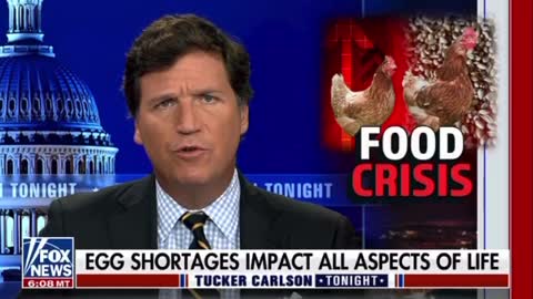 Food Crisis: What the Cluck is going on?