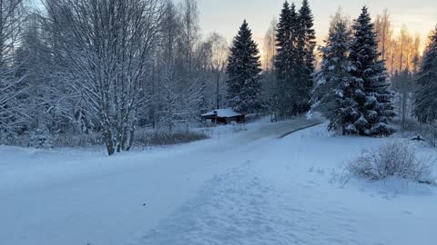 Esapekka Lappi Rally Sweden 2023 test Day2 Hyundai Rally1