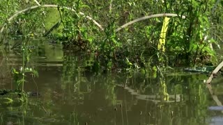 Hungarians paddle through underwater town as flooding peaks