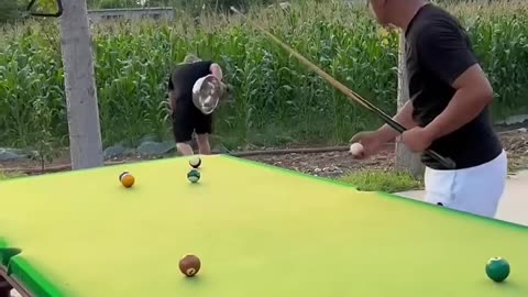 Funny video billiard 🎱