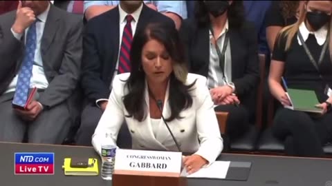 House Congresswoman Gabbard, GOV. CORRUPTION