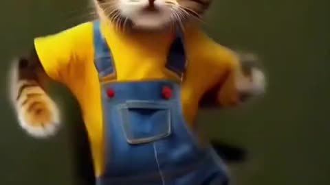 Funny cat videos cute kitten 😻❤️