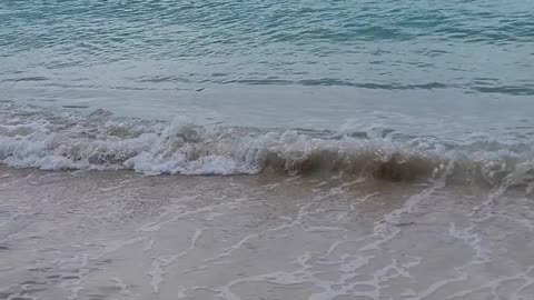 Beautiful Beach In Saint Maarten